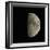 Waxing Gibbous Moon-Eckhard Slawik-Framed Premium Photographic Print