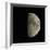 Waxing Gibbous Moon-Eckhard Slawik-Framed Premium Photographic Print