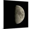 Waxing Gibbous Moon-Eckhard Slawik-Mounted Premium Photographic Print