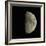 Waxing Gibbous Moon-Eckhard Slawik-Framed Premium Photographic Print