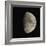 Waxing Gibbous Moon-Eckhard Slawik-Framed Premium Photographic Print