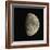 Waxing Gibbous Moon-Eckhard Slawik-Framed Premium Photographic Print