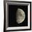 Waxing Gibbous Moon-Eckhard Slawik-Framed Premium Photographic Print