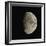 Waxing Gibbous Moon-Eckhard Slawik-Framed Premium Photographic Print