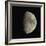 Waxing Gibbous Moon-Eckhard Slawik-Framed Premium Photographic Print