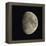 Waxing Gibbous Moon-Eckhard Slawik-Framed Premier Image Canvas