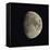 Waxing Gibbous Moon-Eckhard Slawik-Framed Premier Image Canvas