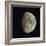 Waxing Gibbous Moon-Eckhard Slawik-Framed Premium Photographic Print