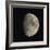 Waxing Gibbous Moon-Eckhard Slawik-Framed Premium Photographic Print