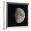 Waxing Gibbous Moon-Eckhard Slawik-Framed Premium Photographic Print