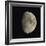 Waxing Gibbous Moon-Eckhard Slawik-Framed Premium Photographic Print