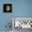 Waxing Gibbous Moon-Eckhard Slawik-Framed Premier Image Canvas displayed on a wall