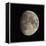 Waxing Gibbous Moon-Eckhard Slawik-Framed Premier Image Canvas