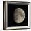 Waxing Gibbous Moon-Eckhard Slawik-Framed Premium Photographic Print