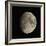 Waxing Gibbous Moon-Eckhard Slawik-Framed Premium Photographic Print