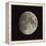 Waxing Gibbous Moon-Eckhard Slawik-Framed Premier Image Canvas