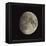 Waxing Gibbous Moon-Eckhard Slawik-Framed Premier Image Canvas