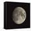 Waxing Gibbous Moon-Eckhard Slawik-Framed Premier Image Canvas