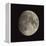 Waxing Gibbous Moon-Eckhard Slawik-Framed Premier Image Canvas