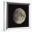 Waxing Gibbous Moon-Eckhard Slawik-Framed Premium Photographic Print