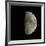 Waxing Gibbous Moon-Eckhard Slawik-Framed Photographic Print