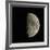 Waxing Gibbous Moon-Eckhard Slawik-Framed Photographic Print