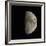 Waxing Gibbous Moon-Eckhard Slawik-Framed Photographic Print