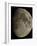 Waxing Gibbous Moon-Eckhard Slawik-Framed Photographic Print