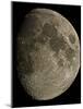 Waxing Gibbous Moon-Eckhard Slawik-Mounted Photographic Print