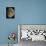 Waxing Gibbous Moon-Eckhard Slawik-Mounted Photographic Print displayed on a wall