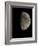 Waxing Gibbous Moon-Eckhard Slawik-Framed Photographic Print