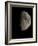 Waxing Gibbous Moon-Eckhard Slawik-Framed Photographic Print