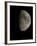 Waxing Gibbous Moon-Eckhard Slawik-Framed Photographic Print