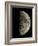 Waxing Half Moon-Eckhard Slawik-Framed Photographic Print