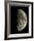 Waxing Half Moon-Eckhard Slawik-Framed Photographic Print