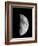 Waxing Half Moon-John Sanford-Framed Photographic Print