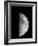 Waxing Half Moon-John Sanford-Framed Photographic Print