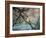 Waxwing at Winter Sunset-Jai Johnson-Framed Giclee Print