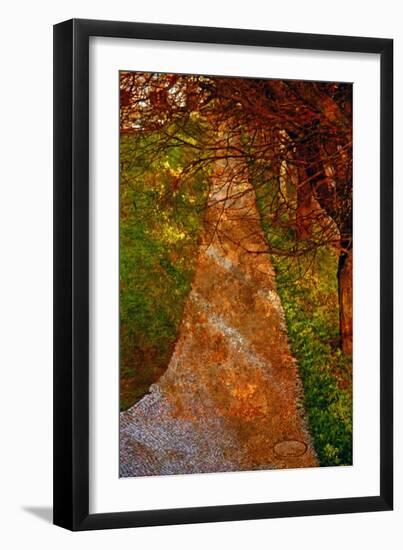 Way and Trees.-André Burian-Framed Giclee Print