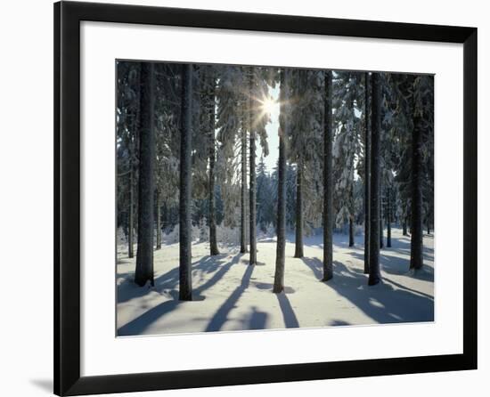 Way, Meadows, Mountains-Thonig-Framed Photographic Print
