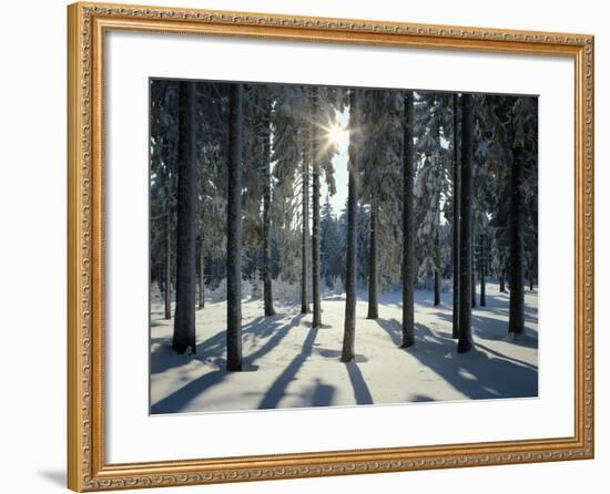 Way, Meadows, Mountains-Thonig-Framed Photographic Print