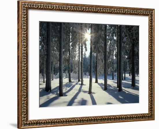 Way, Meadows, Mountains-Thonig-Framed Photographic Print