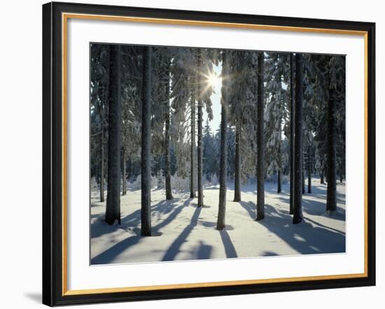 Way, Meadows, Mountains-Thonig-Framed Photographic Print