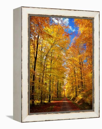 Way to Fall-Philippe Sainte-Laudy-Framed Premier Image Canvas