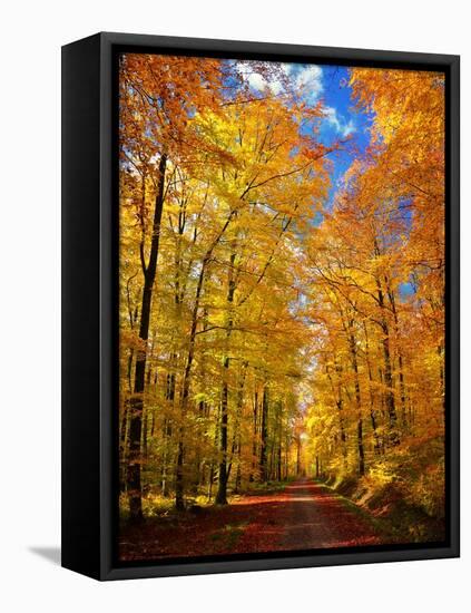 Way to Fall-Philippe Sainte-Laudy-Framed Premier Image Canvas