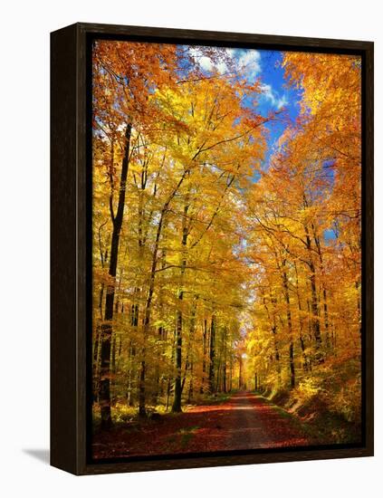 Way to Fall-Philippe Sainte-Laudy-Framed Premier Image Canvas