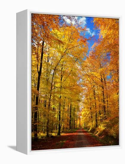 Way to Fall-Philippe Sainte-Laudy-Framed Premier Image Canvas