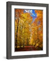 Way to Fall-Philippe Sainte-Laudy-Framed Photographic Print