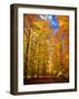 Way to Fall-Philippe Sainte-Laudy-Framed Photographic Print