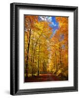 Way to Fall-Philippe Sainte-Laudy-Framed Photographic Print